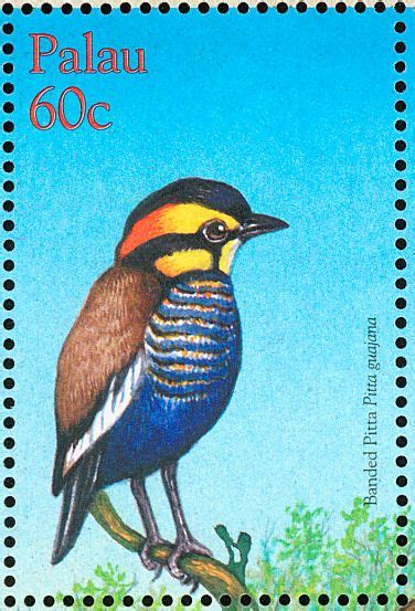 Malayan Banded Pitta Stamps Mainly Images Gallery Format Bird