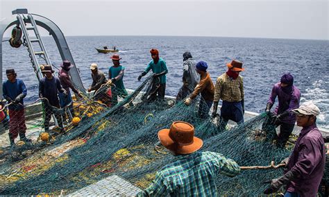 Iran Issues Licenses To Chinese Trawlers Local Fishermen Lose Out Ncri