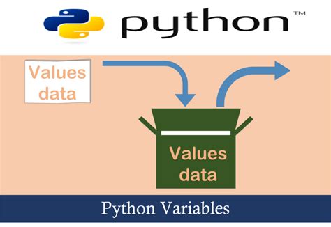 Python Variable Assign Value String Display Multiple Variables And Rules