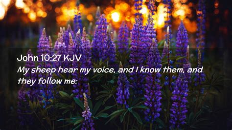 John 1027 Kjv Desktop Wallpaper My Sheep Hear My Voice And I Know