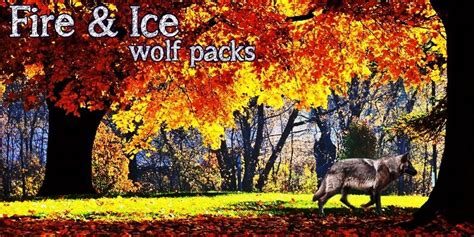 Fire And Ice Wolf Packs Fire And Ice Wo