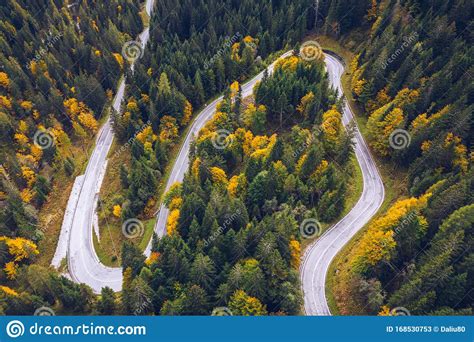 Curved Bending Road In The Forest Aerial Image Of A Road Forrest