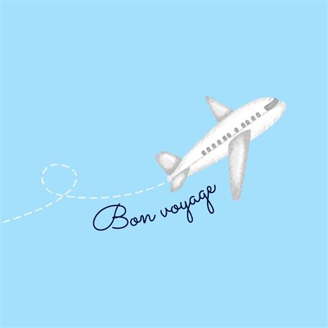 An Airplane With The Word Bon Voyage Written On It