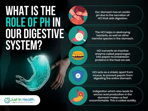 What Is The Role Of Ph In Our Digestive System Podcast 364 Austin