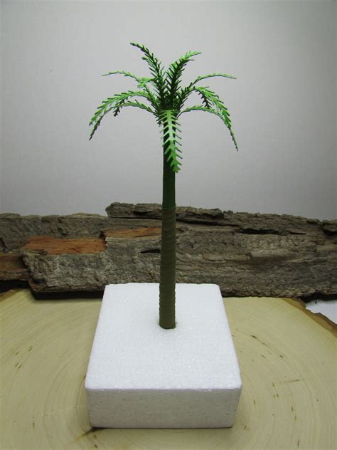 Miniature Palm Trees Palm Tree Terrarium Craft Tree Beach Etsy