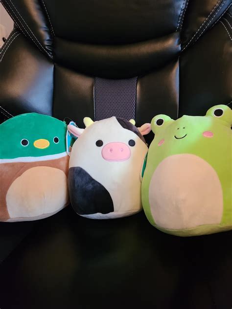 They Re Finally Here 🥺 R Squishmallow
