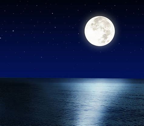 Royalty Free Full Moon Pictures Images And Stock Photos Istock
