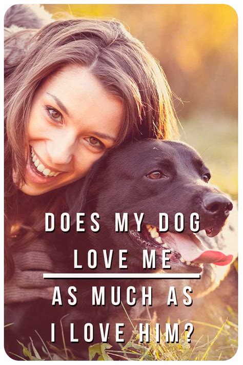 However, if you notice any of the above symptoms, don't automatically assume that your dog has cancer. Does My Dog Love Me: Signs Your Dog Loves You