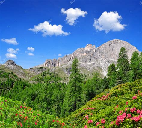 Dolomite Peaks Rosengarten Stock Photo By ©vencav 62591787