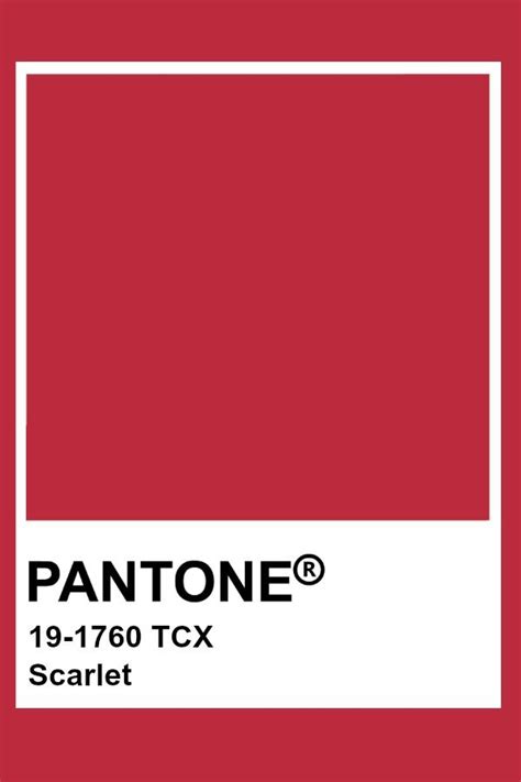 Pantone Scarlet Paleta Pantone Pantone Palette Pantone Swatches