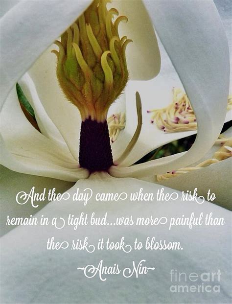 Magnolia quotes exists just do that. Inside Magnolia Quote Photograph by Susan Garren