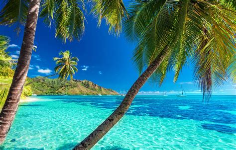 Обои море пляж солнце пальмы берег Summer Beach Sea Island