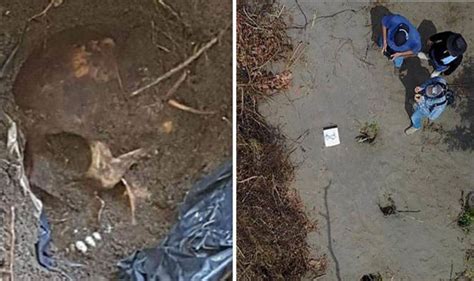 Mexico News Horror Of Mass Grave 166 Skulls Found As Victims Killed