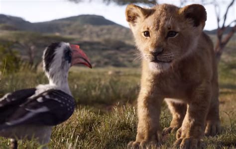 Le Roi Lion Live Action Disney + - Fans react to first full trailer for Disney's live-action remake of