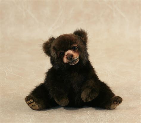 New England Bears Inc Baby Bears For Sale Purchase Live Baby Bear