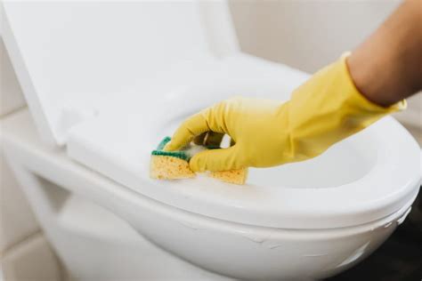 Cómo Limpiar Y Desinfectar Correctamente El Baño Espacio Y Armonía