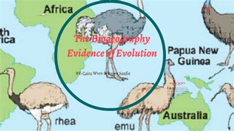 The Biogeography Evidence Of Evolution By Caria Wren On Prezi