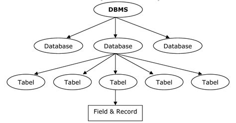 In other words, they create the structure of the database. Mengenal Database dan Penggunaannya Pada Website - Nulis ...