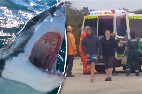 shark death tragedy as teen killed in attack near esperance australia daily star