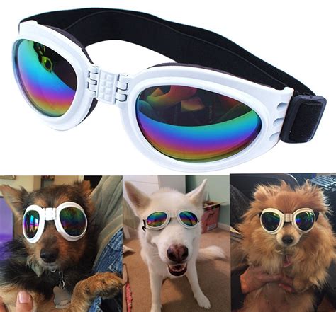 Qumy Dog Sunglasses Eye Wear Protection Waterproof Pet Goggles For Dogs