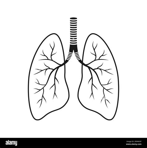 Black And White Lungs Icon On White Background Vector Illustration