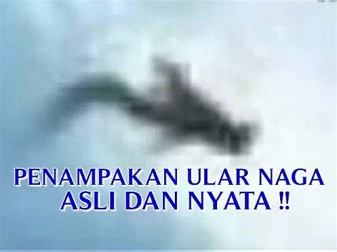 Seluruh gif gambar animasi naga dan animasi bergerak naga dalam kategori ini 100% gratis dan tanpa dikenakan biaya untuk menggunakannya. VIDEO PENAMPAKAN "ULAR NAGA ASLI DIBALIK AWAN DI CHINA ...