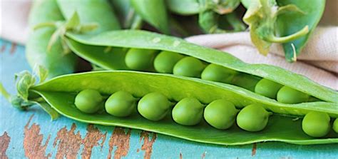 How To Use Sugar Snap Peas Hudson Grocery Coop