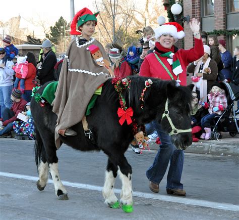 Braymere Custom Saddlery Ridden Horses In The Christmas Carriage Parade