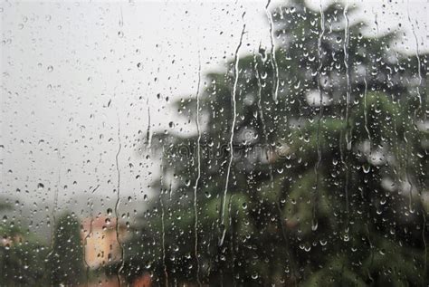 Rain On The Window Stock Photo Image Of Rain Background 125714426