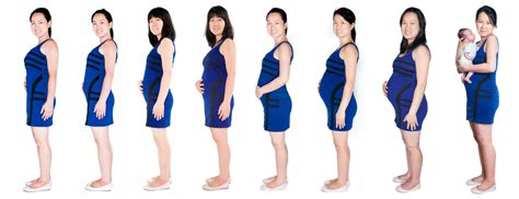 nine month pregnancy evolution photographer ‹ photographer anaïs chaine