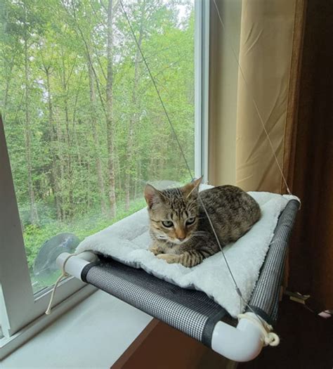 Cat Window Perch Cat Hammock Window Seat Wfree Fleece Etsy