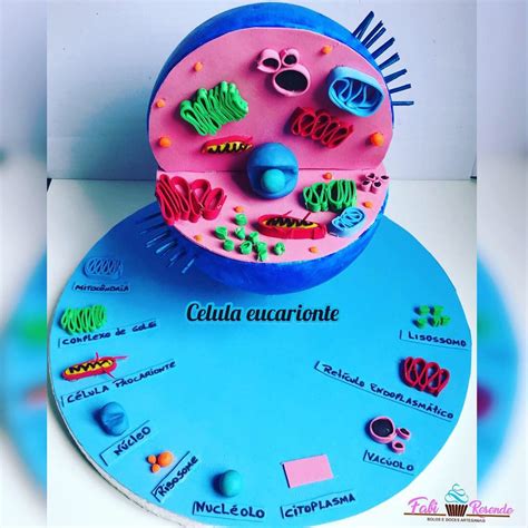 3d Animal Cell Project Plant Cell Project Cell Model Project Cells