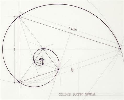 Fibonacci The Golden Ratio Sequenced Geometries By Rafael Araujo B