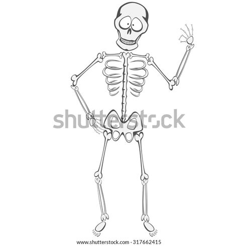 Skeleton Buddy Funny Skeleton Standing Showing Stock Vector Royalty