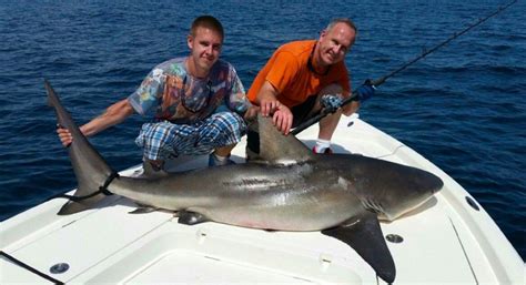 A Look Into Cape Canaveral Shark Fishing Charters Fishing Blog