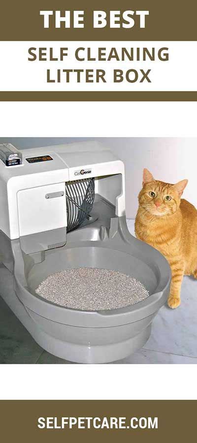 Catgenie Self Washing Self Flushing Cat Box Self Cleaning Litter Box