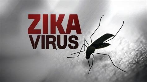 First Case Of Zika Virus Reported In Smith County