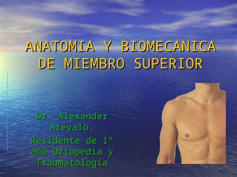 Anatomia Y Biomecanica De Miembro Superior Hombro Hot Sex Picture