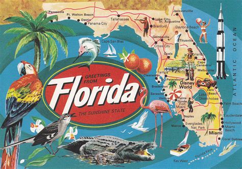 99 Affiche Vintage Floride Affiche Img