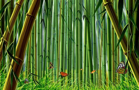 Online Crop Hd Wallpaper Bamboo Forest Illustration Grass