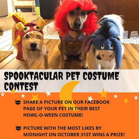 Spooktacular Pet Costume Contest Share A Picture On Our Facebook Page