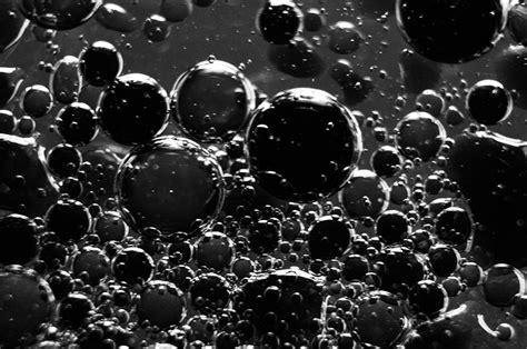 Black And White Oil Bubbles Photograph By Keelie Longoria Fine Art