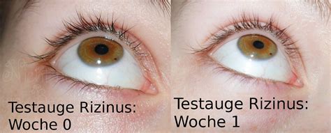Näytä lisää sivusta rizinusöl facebookissa. Nicht noch ein Beautyblog... : Selbstversuch Woche 1 ...