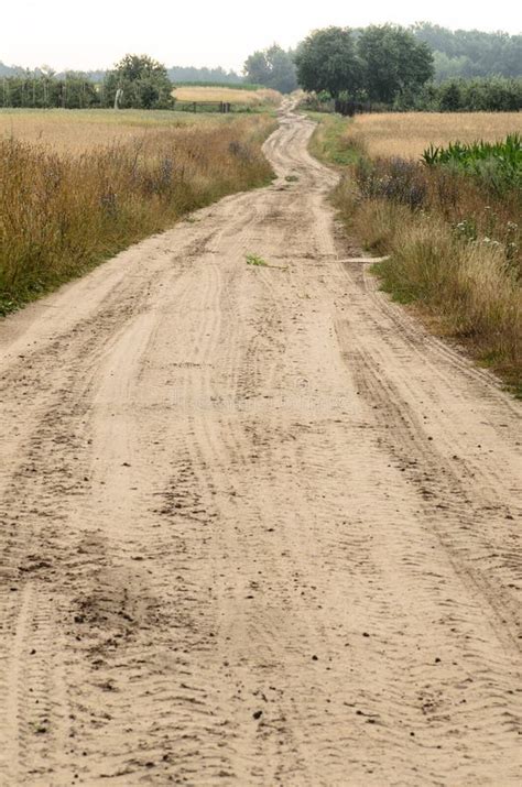 Country Dirt Road In Poland Stock Photo Image Of Rural Poland 42628158