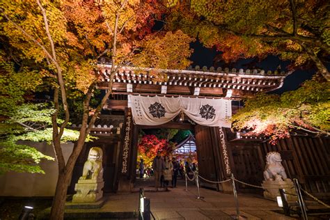 Eikando Temple Fall Colors Night Lighting Travel Caffeine