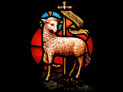 Holy Mass Images Lamb Of God Agnus Dei