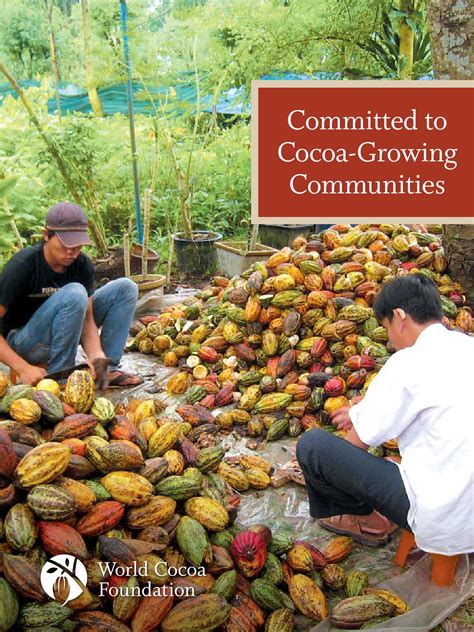 Cocoa Sector Supporting Cocoa Communities And Achieving Cocoa