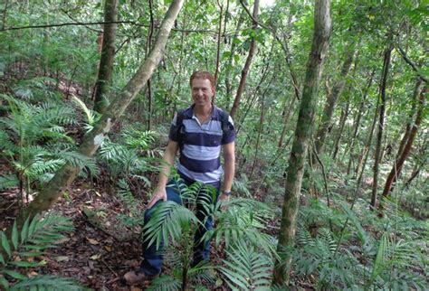 Their native range is the dense rainforests of guatemala and. The story of the Parlor Palm