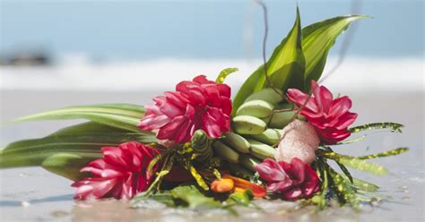 Check spelling or type a new query. Flower Care Guide - Tropical Flower Bouquets | Bouqs Blog