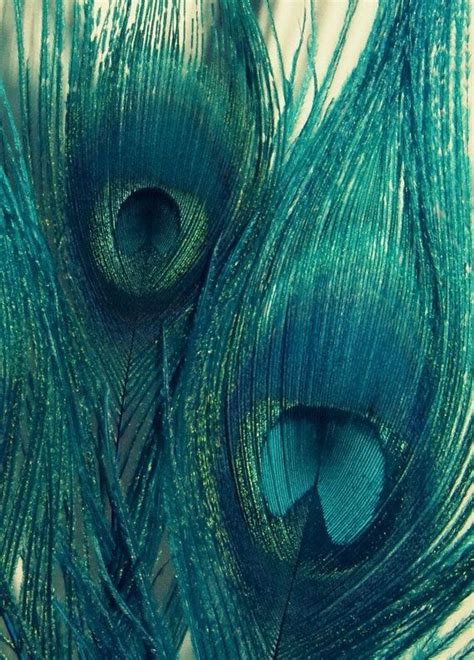 There are three main categories of colors: Peacock | Color inspiration, Teal, Peacock feathers